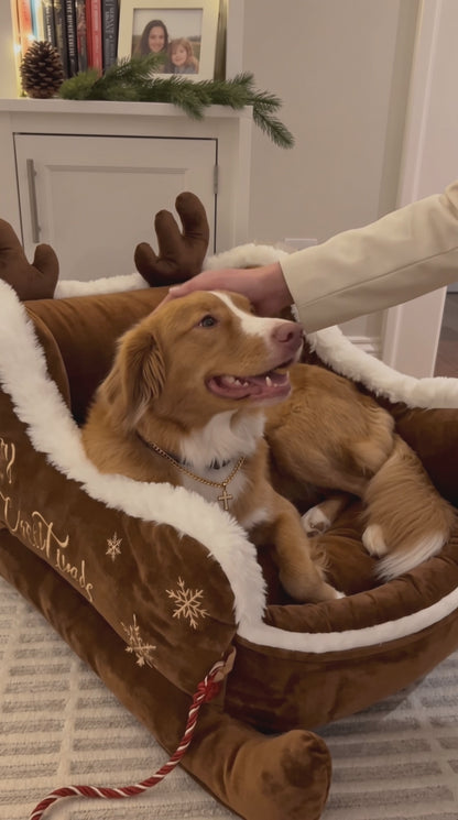 Christmas Dog Bed